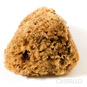 Casstillo Esponja Natural Panal De Abeja 12Cm Aprox