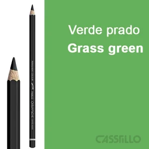 Casstillo Lapiz Caran D Ache Pablo Permanente Color Verde Prado