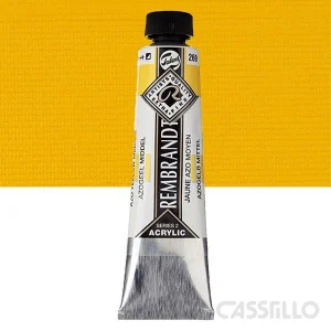 Casstillo Acrilico Rembrandt Tubo 9 40 Ml N 269 Amarillo Azo Medio