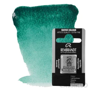 Casstillo Acuarela Rembrandt 1 2 Godet P 13 Verde Esmeralda