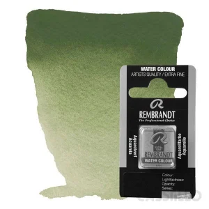 Casstillo Acuarela Rembrandt 1 2 Godet P 13 Verde Oxido Cromo