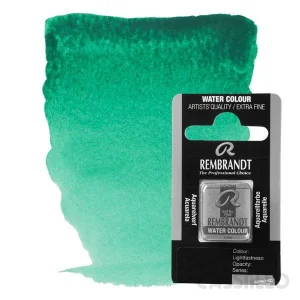 Casstillo Acuarela Rembrandt 1 2 Godet P 13 Verde Verones