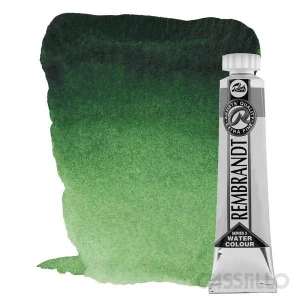 Casstillo Acuarela Rembrandt Tubo 20 Ml Verde Hooker Claro
