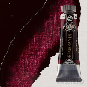 Casstillo Pintura Al Oleo Rembrandt T 6 15 Ml Carmin Tostado
