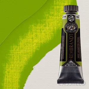 Casstillo Pintura Al Oleo Rembrandt T 6 15 Ml Verde Amarillo Permanente