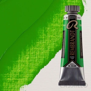 Casstillo Pintura Al Oleo Rembrandt T 6 15 Ml Verde Permanente Claro