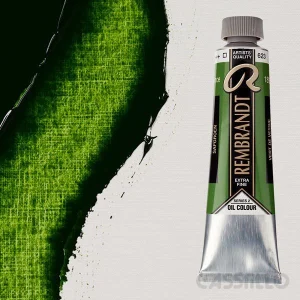 Casstillo Pintura Al Oleo Rembrandt T 9 40 Ml Verde Vejiga