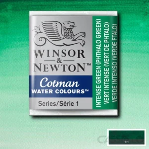Casstillo Winsor Newton Acuarela Cotman 1 2 Godet Verde Intenso