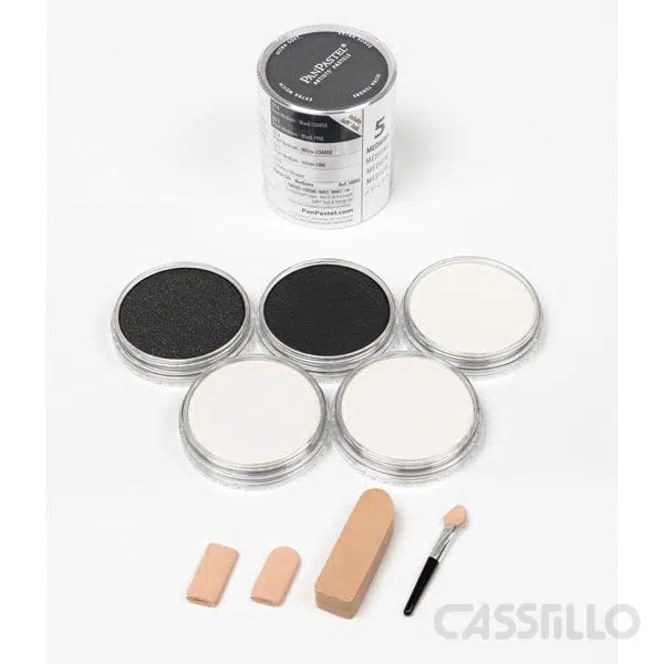 Castillo Lot de 5 couleurs de démarrage médiums Panpastel